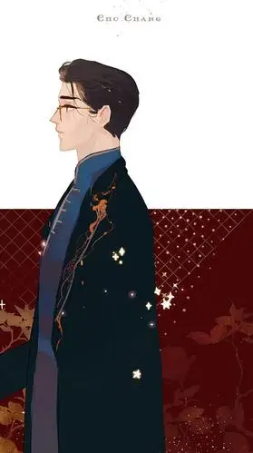 画师眠狼哈利波特壁纸