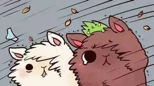 夏天刮大风的搞笑图片