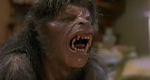 狼人诞生的祖先揭开一个人变成狼人的全部秘密