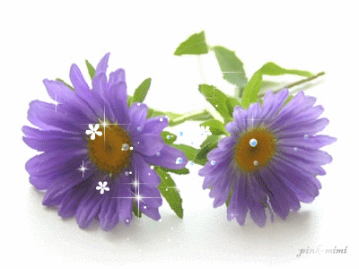 【图】『动感动态』flash仿真动画素材集锦_王黄是一家的收集_我喜欢