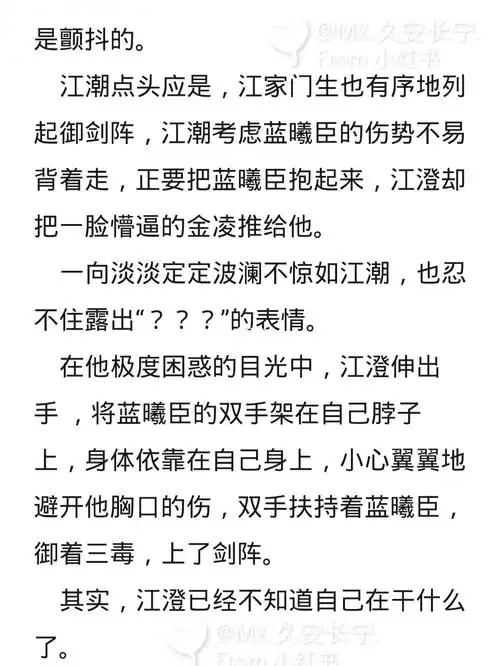 魔道祖师 衍生 曦澄文 第一章(下)