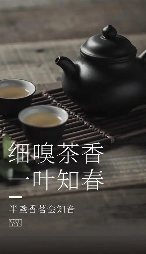 春天的第一口茶来西安这4个饮茶宝藏地