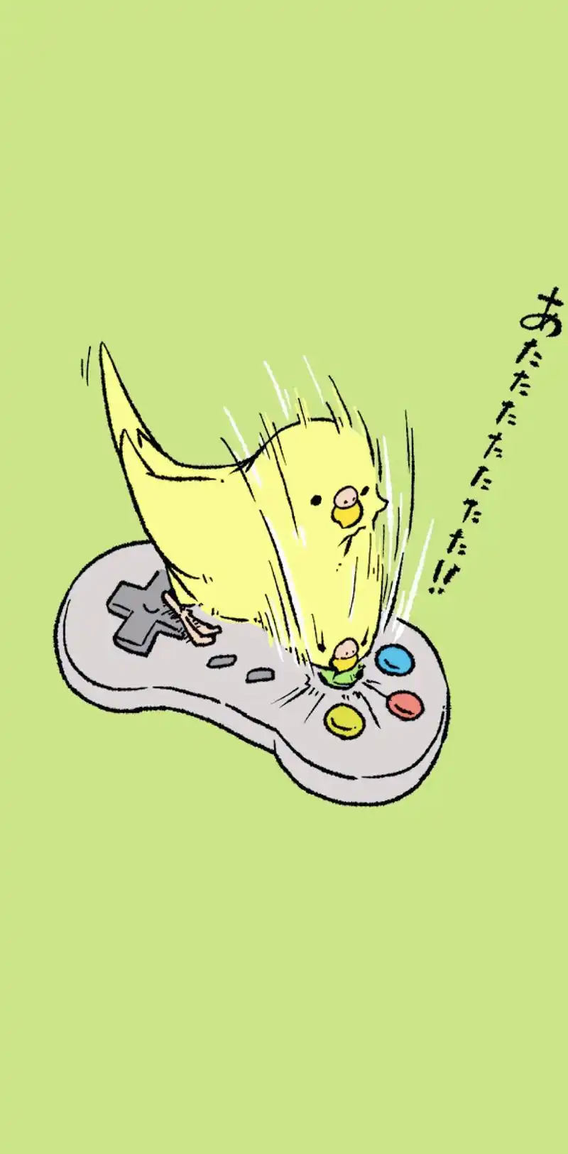 胖嘟嘟卡通鹦鹉#手机壁纸 #卡通壁纸 #鹦鹉 #可爱 - 抖音