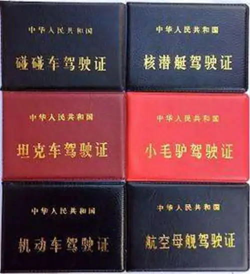 驾照考完车都没碰过,无缘无故被吊销,交警:因为你不看这四个字