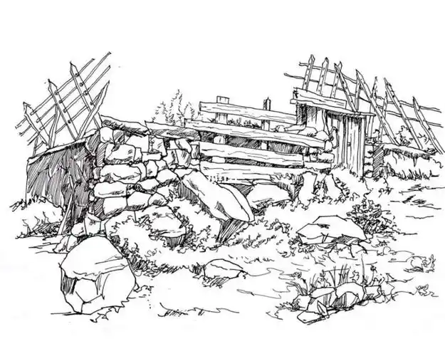 杂草丛生风景速写