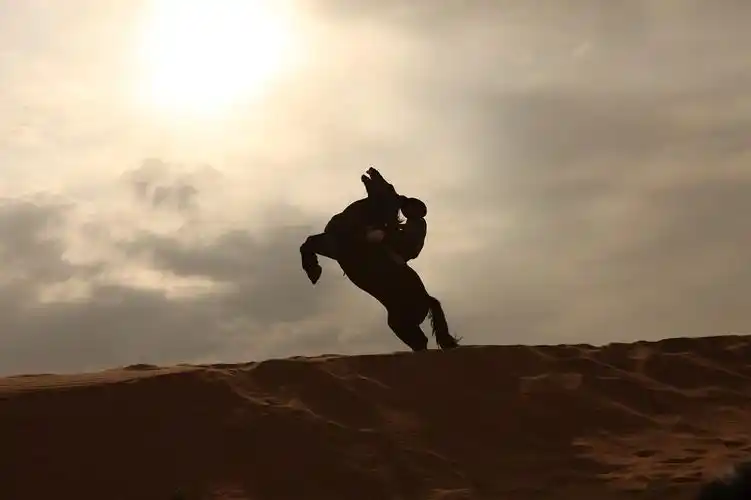 励志电影《 a target="_blank" href="/item/放飞吧梦想/20497296"