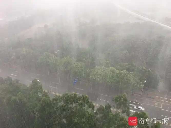 雷雨大风来势猛,广州启动气象灾害Ⅲ级应急响应