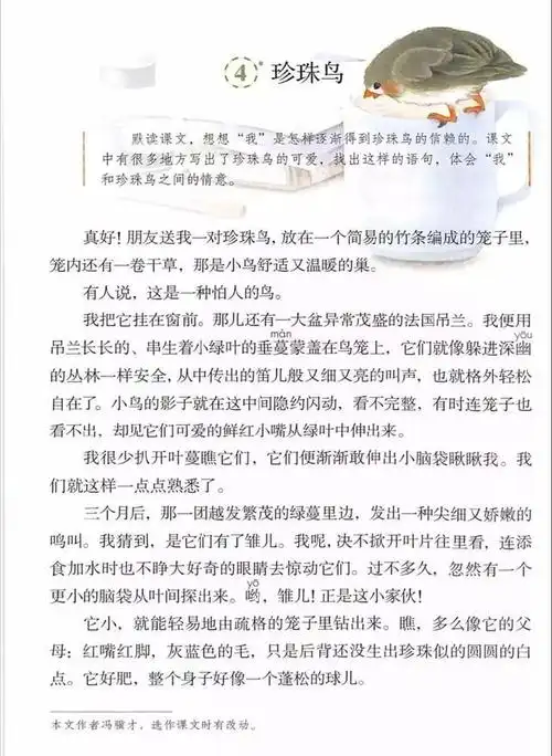 五上教材同步学第4课珍珠鸟阅读重难点突破