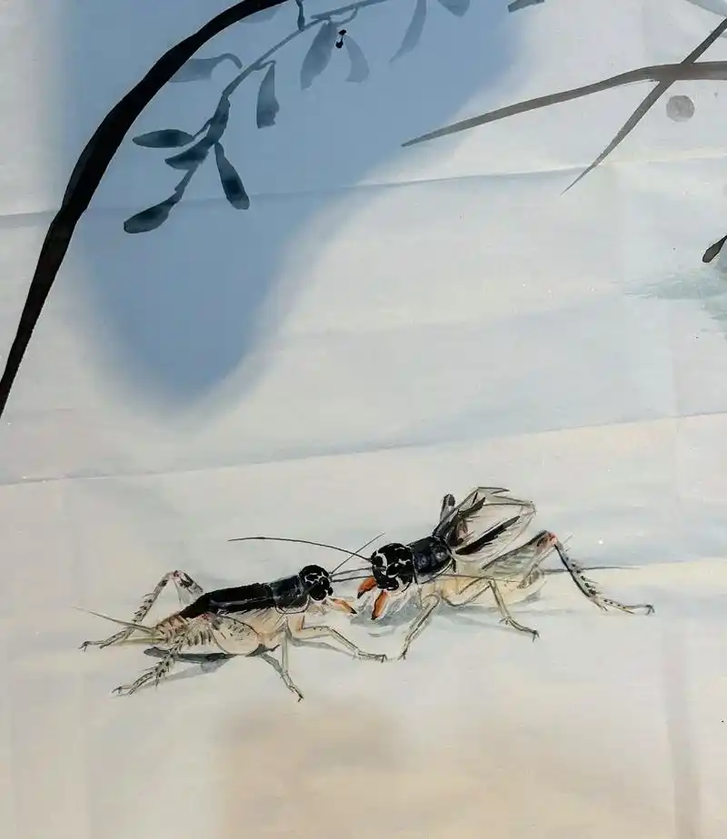 蟋蟀画#蟋蟀 #斗蛐蛐 #感受国画的意境之美 #原创作品 # - 抖音