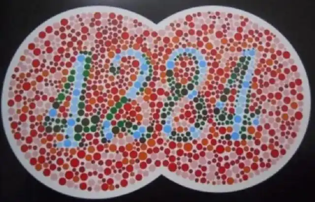 驾考色盲检测图,如果一张都看不到,只能和驾照无缘