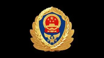 5款消防救援徽章旋转循环视频