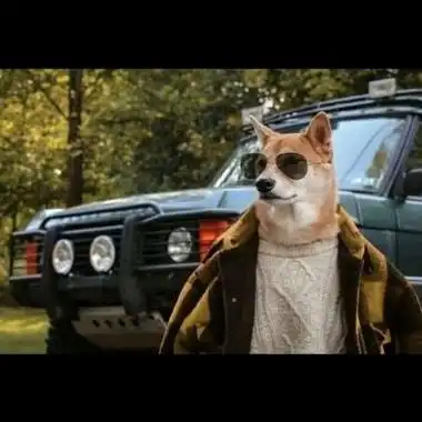 超拽社会狗头男生头像