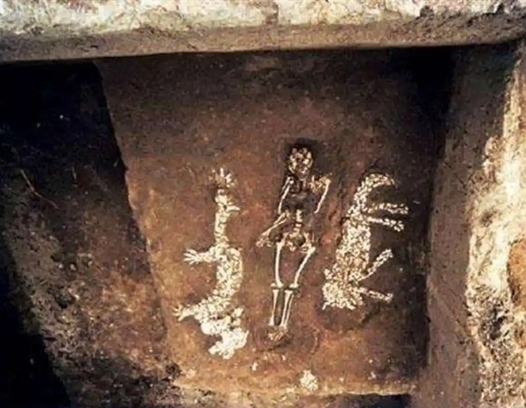 6500年前古墓惊现龙虎图,墓主脊柱被砍,专家推断墓主也许是蚩尤