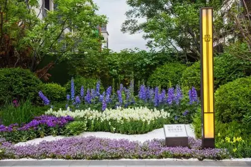 美的置业&花境大使邀您共度世博园花境之旅