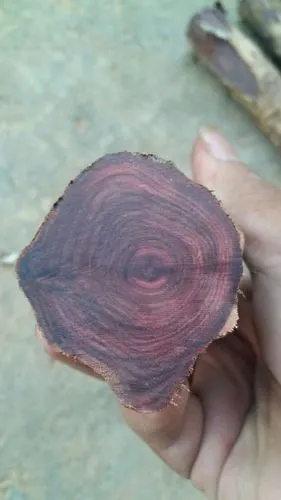 一折紫檀木雕刻摆件_专柜正宗越南紫檀柳 原木料小件根料 雕刻料 摆件