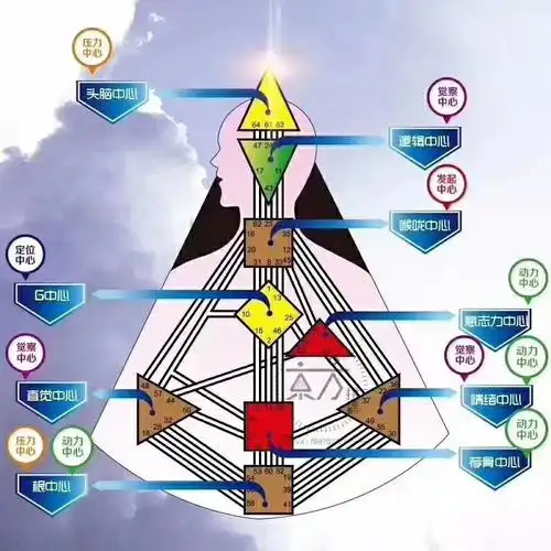 004 | 投射者--人类图教会我的那些事