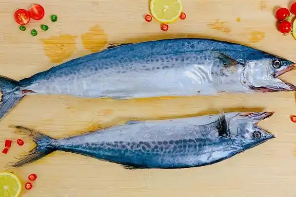 买鲅鱼记得分清黄尾和黑尾口感差别大选错肉柴味腥