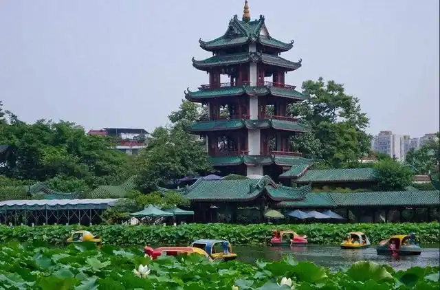 美景尽收眼底千万不要错过这一景点成都新都区的桂湖公园