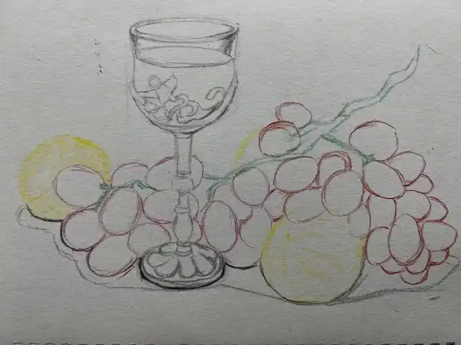 彩铅步骤图水果静物组合2