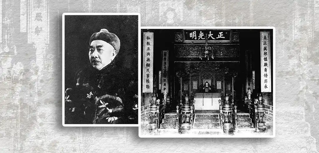 (四)张勋复辟与护法运动