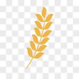 卡通五一劳动节麦穗贴纸元素