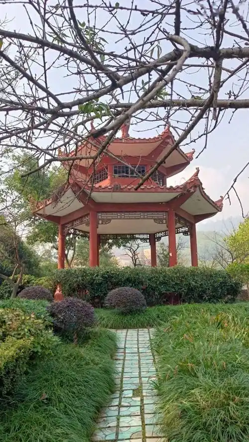 图源/网络交个朋友吧很高兴认识你们我是重庆文理学院星湖校区大家好