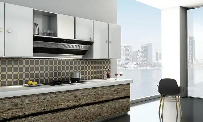 厨房 高端 油烟机 大吸力 三维 室内效果图 豪普电器 厨房电器 集成灶