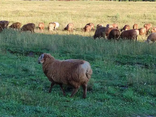 写美篇我们耳闻目睹了改革开放四十年来新疆所发生的沧海桑田般的变化