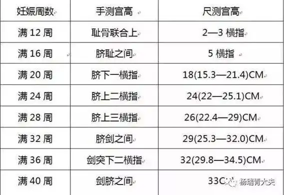 宫高正常值表