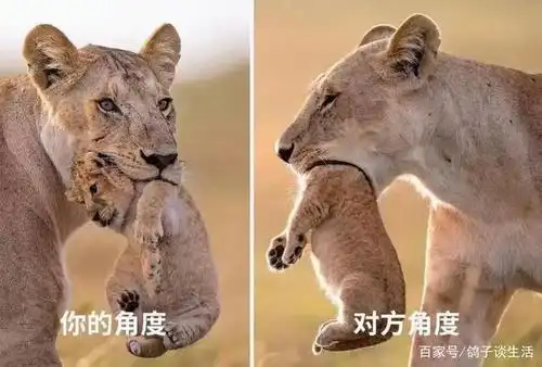 从不同角度观察事物,你会有不同发现.