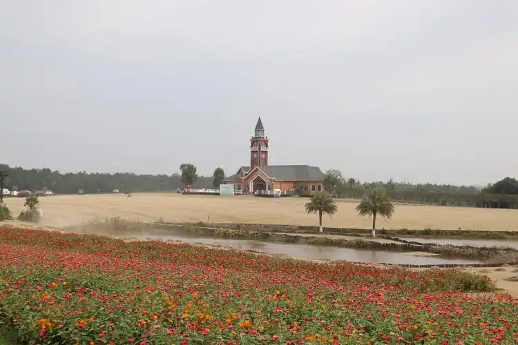 高安巴夫洛生态园