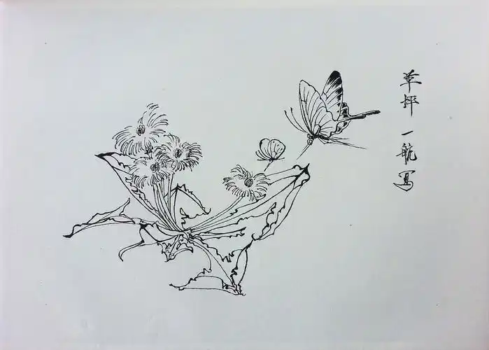 中国花鸟画-工笔白描