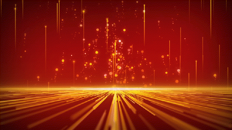 金凤凰实战专业落地课程