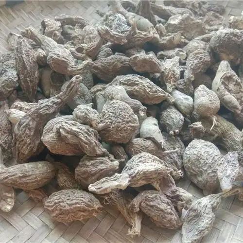 贵州新晒地苦胆野外生金果榄中药原材料青牛胆九牛胆青鱼胆九龙胆500