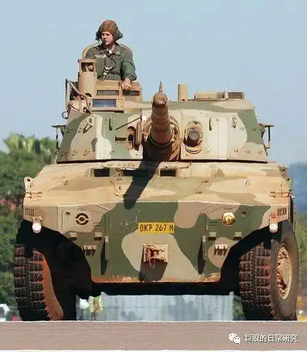 黑色大地上狂奔的猛兽南非大山猫装甲侦察车2