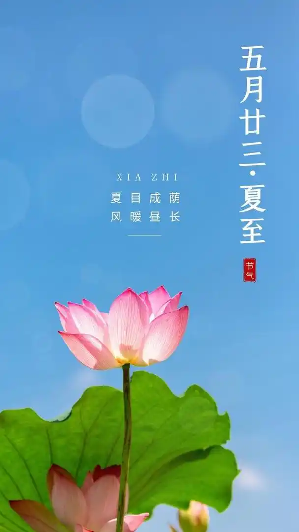 夏至图片配图海报高清唯美大全,夏至快乐文案祝福问候语简短