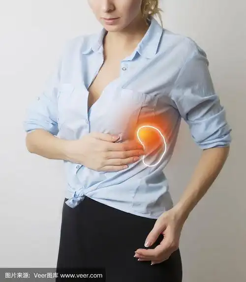 脾脏,女人,损坏的,插画,垂直画幅