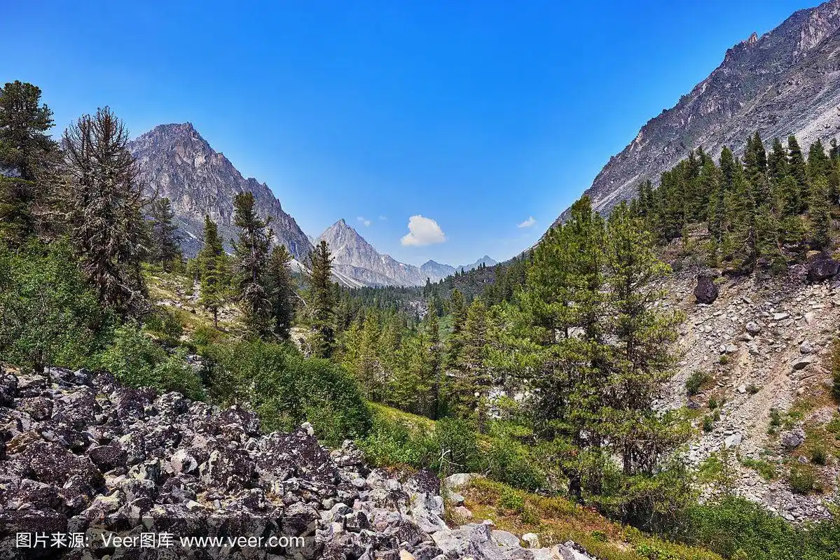 山地森林风景.东西伯利亚
