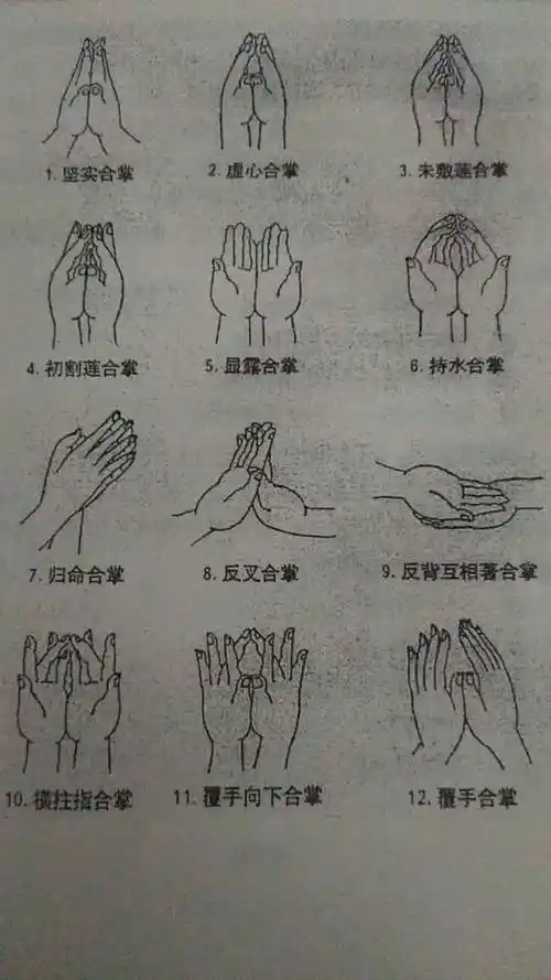 密教的基本手印:十二合掌