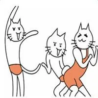 日本神经猫表情包_微信头像图片大全