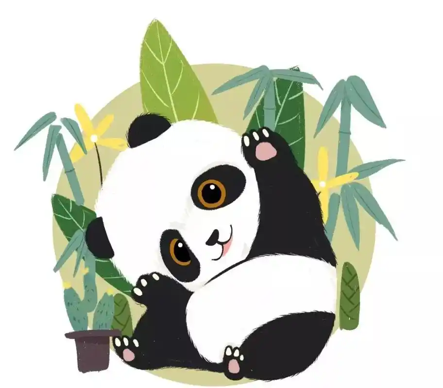 今年第三只小可爱来了秦岭大熊猫保护事业再登新台阶