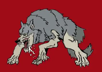 灰色的大灰狼图片