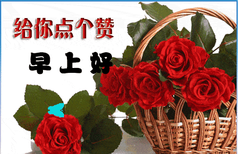 2月16日春天早上好问候语鲜花图片表情合集春天来了早上好问候图片