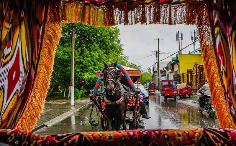 喀赞其景区的特色马车(图片来源:达人"文小象"微博)