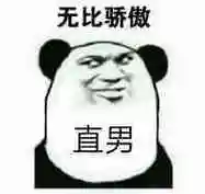 无比骄傲直男 - 熊猫头直男表情包系列表情