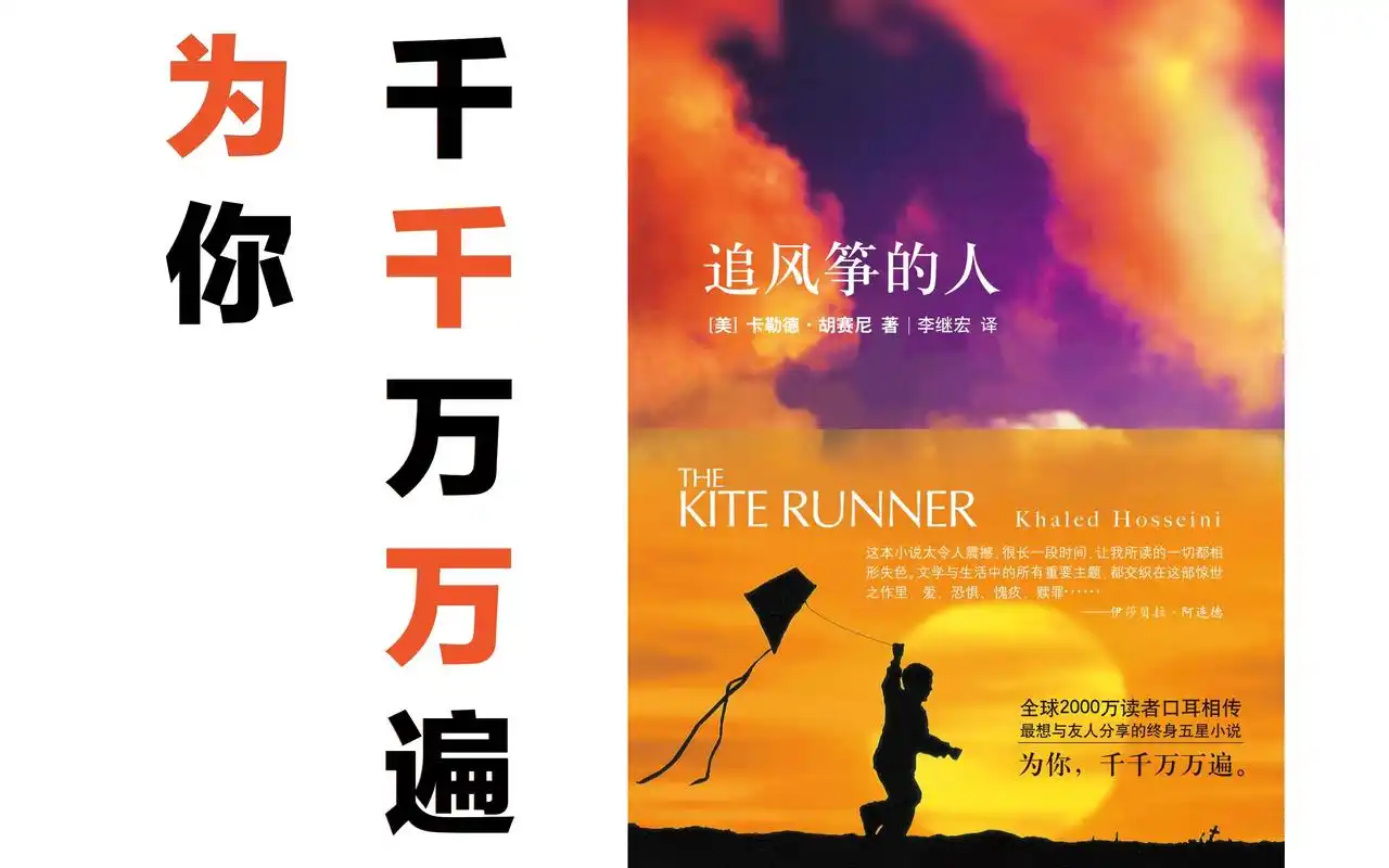 我穿书了,穿到《追风筝的人》里踏上了救赎之路.