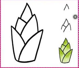 笋简笔画笋简笔画图片带颜色