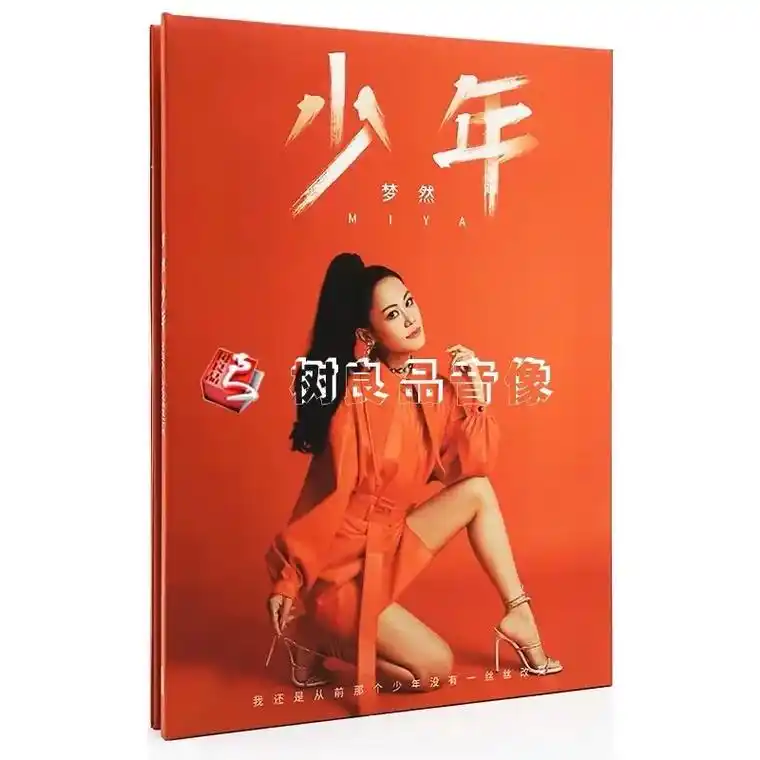 正版现货 梦然cd专辑 少年 高飞流行歌曲歌词本 个人海报c - 抖音