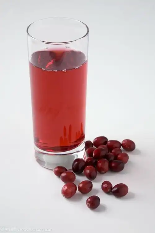 北美蔓越莓汁原浆 蔓越莓浓缩粉速溶型蔓越莓水溶性粉现货供应