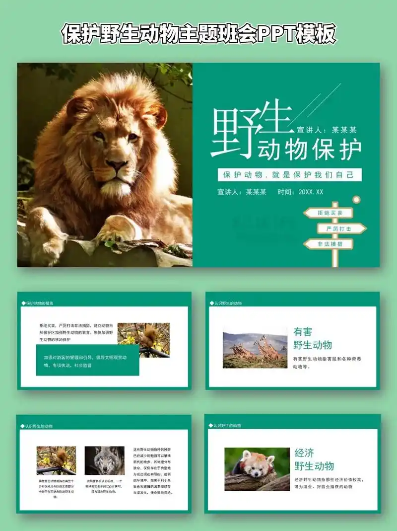 92保护野生动物主题班会ppt模板.93 保护野生动物主题班 - 抖音